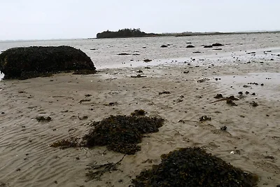 8 persoons vakantie huis in Faaborg-By Traum