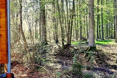 Accogliente casa a Oignies-en-Thiérache vicin...