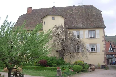 Ferienwohnung mit 1 Schlafzimmer