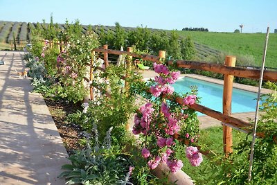 Agriturismo a Montalto di Castro con terrazza