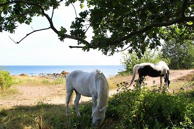 10 persoons vakantie huis in Svaneke