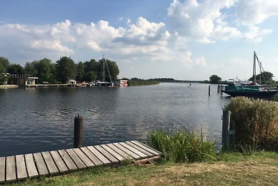 Eiderblick-Mumm