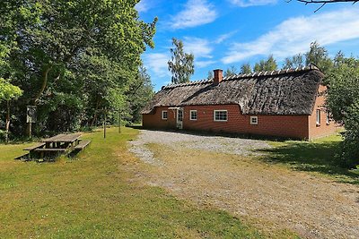 12 Personen Ferienhaus in Væggerløse-By Traum