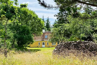5 Sterne Ferienhaus in Ålbæk