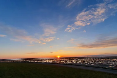 Penthouse aan het Noorderstrand op de dijk