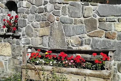 Studiohut voor 4 personen, 3*, op het zuiden