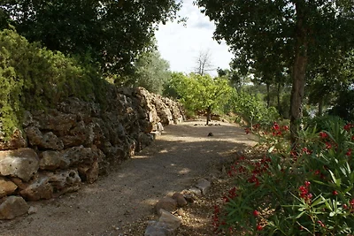 Geräumige Villa in Vidauban mit privatem Pool