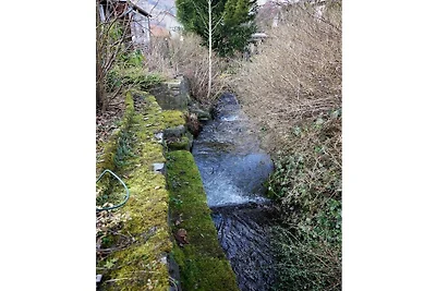 Familienglück Lautenthal