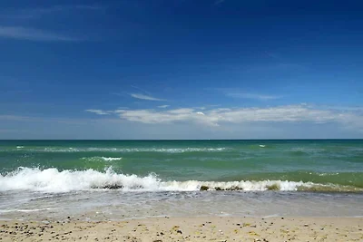 Ferienwohnung mit Terrasse in Dierhagen