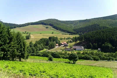 Ferienhaus im Sauerland nahe Skipisten