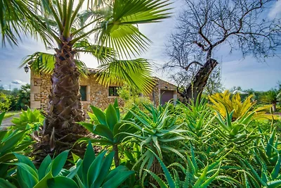 Lush finca in Majorca