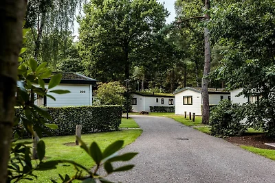Chalet mit Kombi-Mikrowelle in der Veluwe