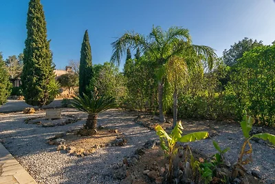 Canaus - Ferienhaus Mit Privatem Pool In...