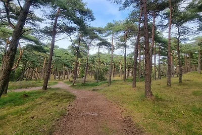 12 Personen Ferienhaus in Rømø