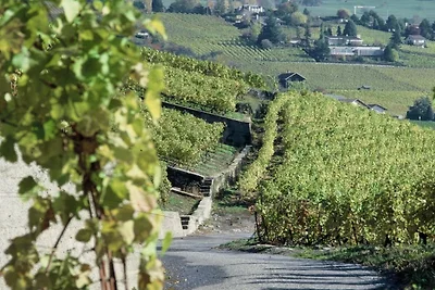 Blonay Logis de Vacances 2