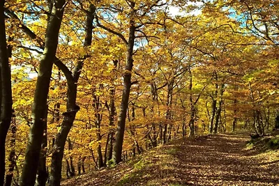 Neue top renovierte Ferienwohnung in Medebach