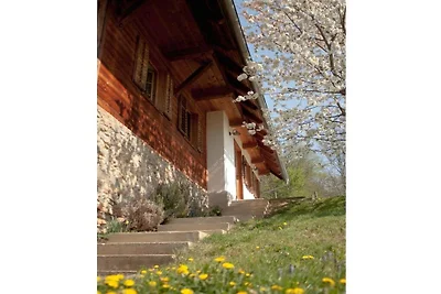 Ferienhaus in Straden mit Sauna und Wifi