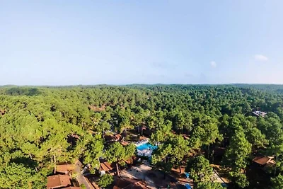 Wohnung im Pinienwald nahe Ozean