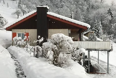 Holiday home in Vitznau with swimming pool