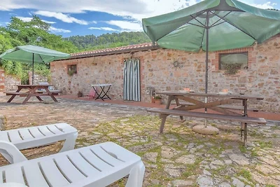 Apartment in Massa Marittima mit Swimmingpool