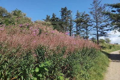 Maison de vacances pour 6 a Hjørring