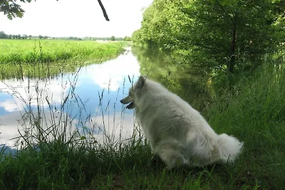 La STALLA più accogliente