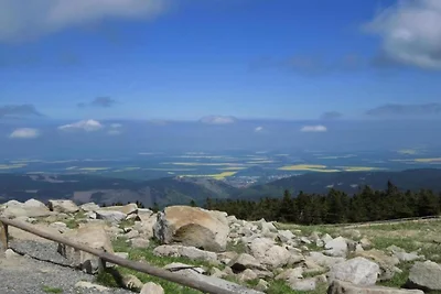 In der Region (Sommer) (>5 km) In der Region (Sommer) (>5 km)