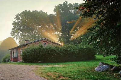 Ferienhaus Erholungsurlaub Seedorf
