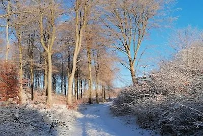 6 persone case ad Rønde-By Traum