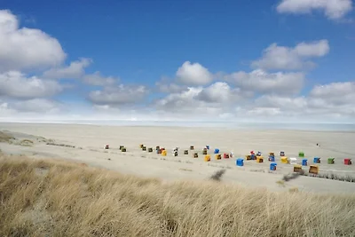 Wattläufer im Haus Sanderling