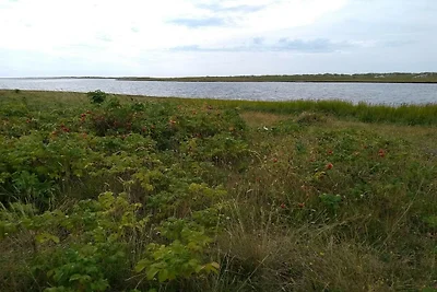 6 Personen Ferienhaus in Læsø-By Traum