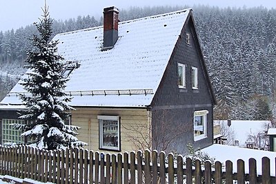 Aangenaam appartement in Wildemann