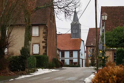 Charmantes Ferienhaus in Hinsbourg