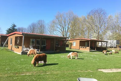Ferienhaus am Achterwasser in Lütow