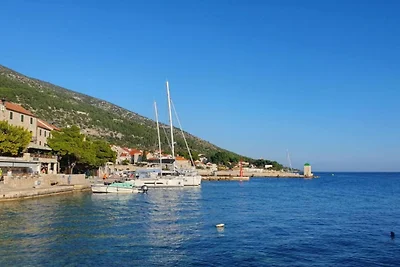 Apartments Dva Galeba -  Premium One Bedroom ...