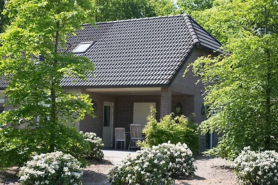 Casa di design con camino a Bedafse Bergen