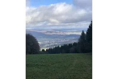 Ferienwohnung mit 1 Schlafzimmer