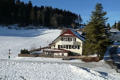 Rosengarten im Ferienhaus Carola