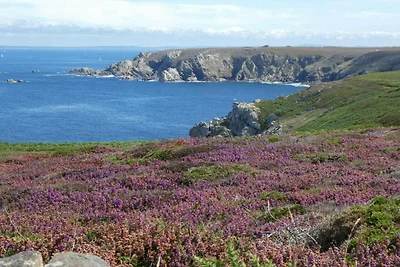 Dintorni (estate) (1-5 km) Dintorni (estate) (1-5 km)