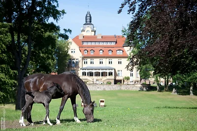 Ferienhaus Oliver, Wendorf