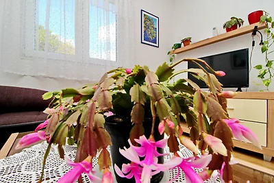 Apartments Nodilo - One Bedroom Apartment wit...