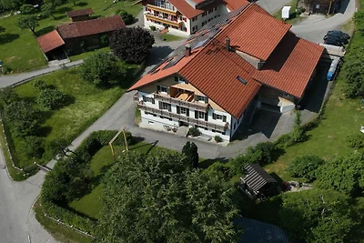 Alpenloft Mereine