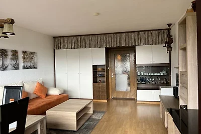 Appartement met 1 slaapkamer