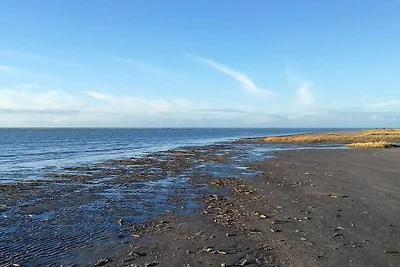 12 Personen Ferienhaus in Fanø-By Traum