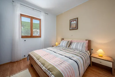 Seaside apartment with jacuzzi in Drenje