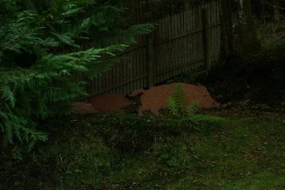 Tannenhäuschen Sauerland