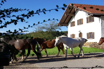 Ferienhaus mit 2 Schlafzimmer
