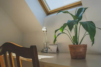 Comfortable Apartment with Mountain View - On...