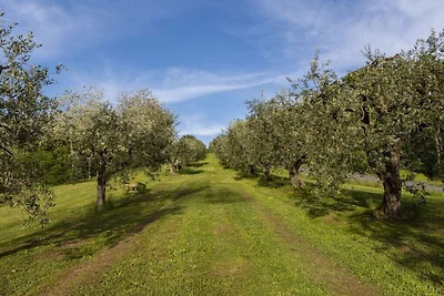 Ferienhaus Erholungsurlaub Pisa