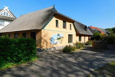 Sterntaucher 04